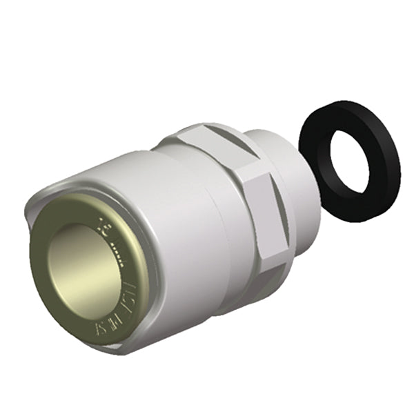 Whale haneadapter lige 1/2” gevind BSP set fra siden med klar synlighed af gevindet